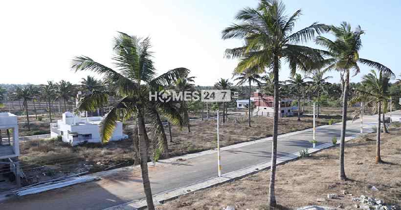 Yesh Farms Plots Cover Image